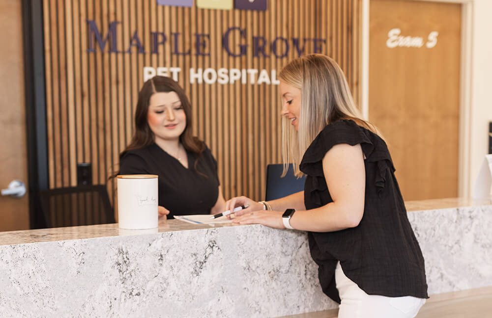 Client At Front Desk