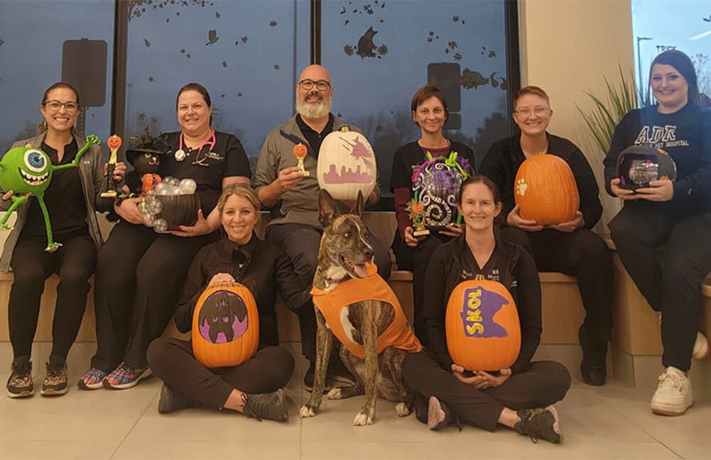 Maple Grove Staff With Pumpkins