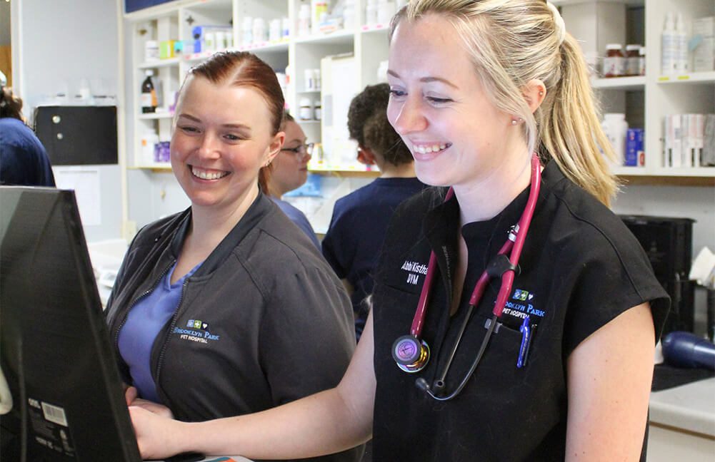 Vets At Computer Station