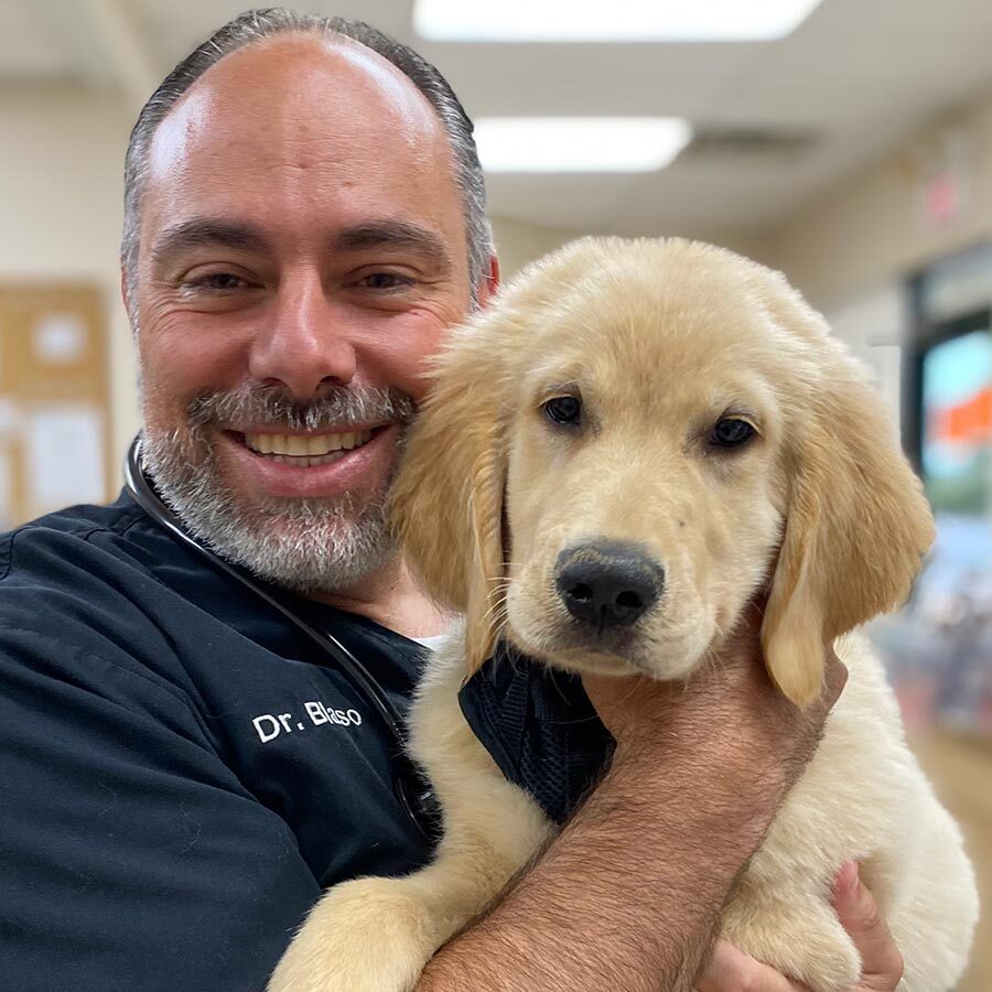 veterinarian and puppy looking at the camera for a photo
